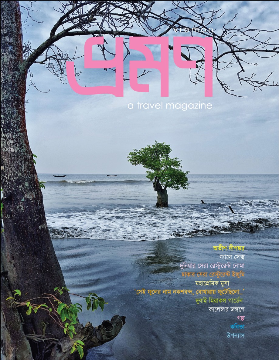 Vromon magazine cover — tree in the ocean